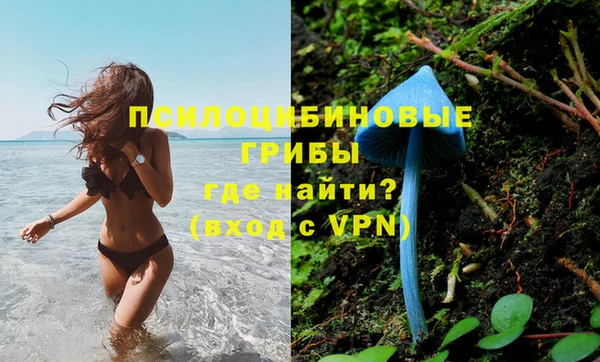 соль ск Белокуриха