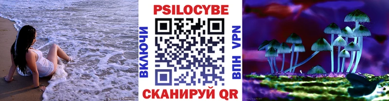 Галлюциногенные грибы Psilocybe  Губкинский 