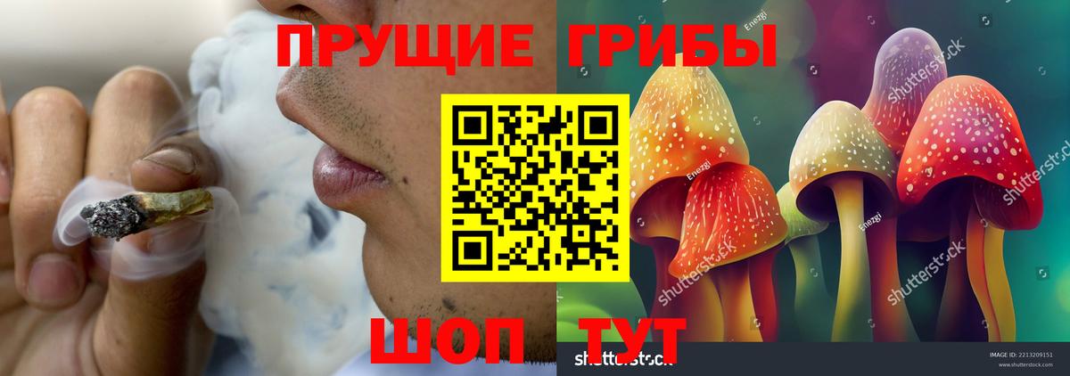Галлюциногенные грибы мухоморы  цена   Губкинский  Галлюциногенные грибы MAGIC MUSHROOMS  Вход с VPN 